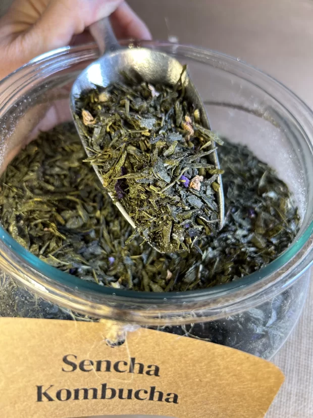 Esencja Sanok - Sencha Kombucha