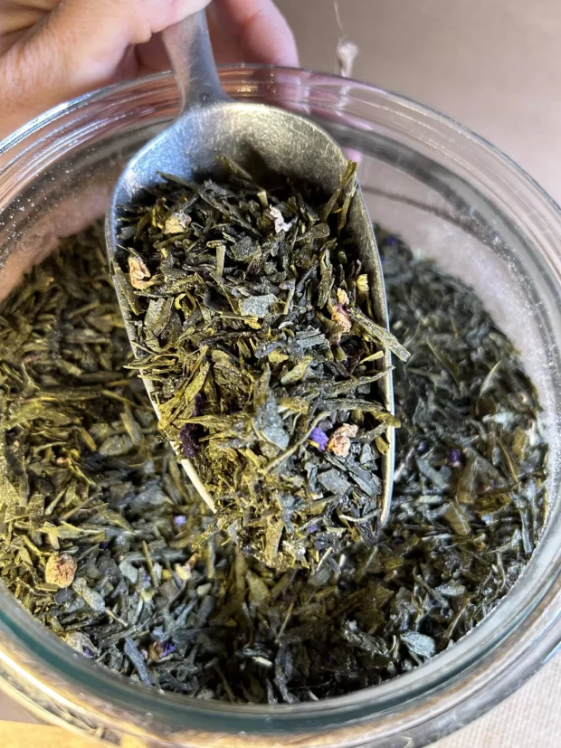 Esencja Sanok - Sencha Kombucha