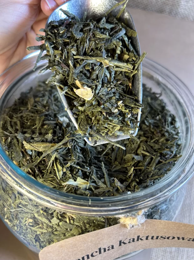Esencja Sanok - Sencha Kaktusowa