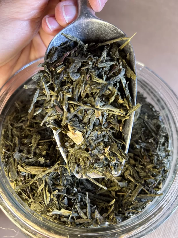Esencja Sanok - Sencha Kaktusowa