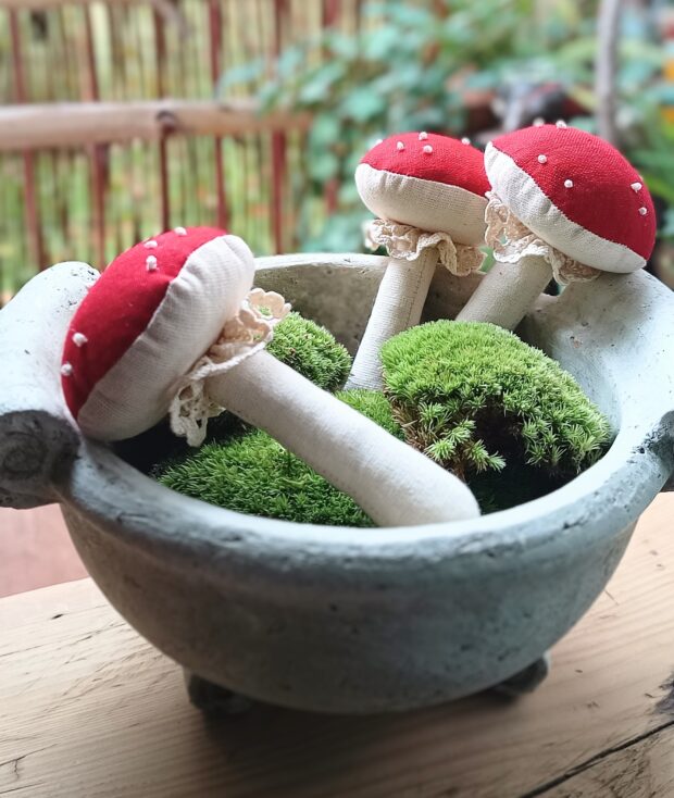 Esencja Sanok - Muchomorek Lniany - zdjęcie poglądowe