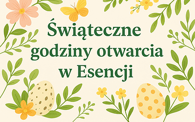 Kiedy odwiedzić nas przed świętami?