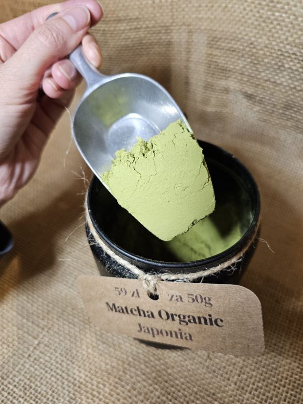 Zielona herbata Matcha Japońska nabrana na łopatkę ze słoika.