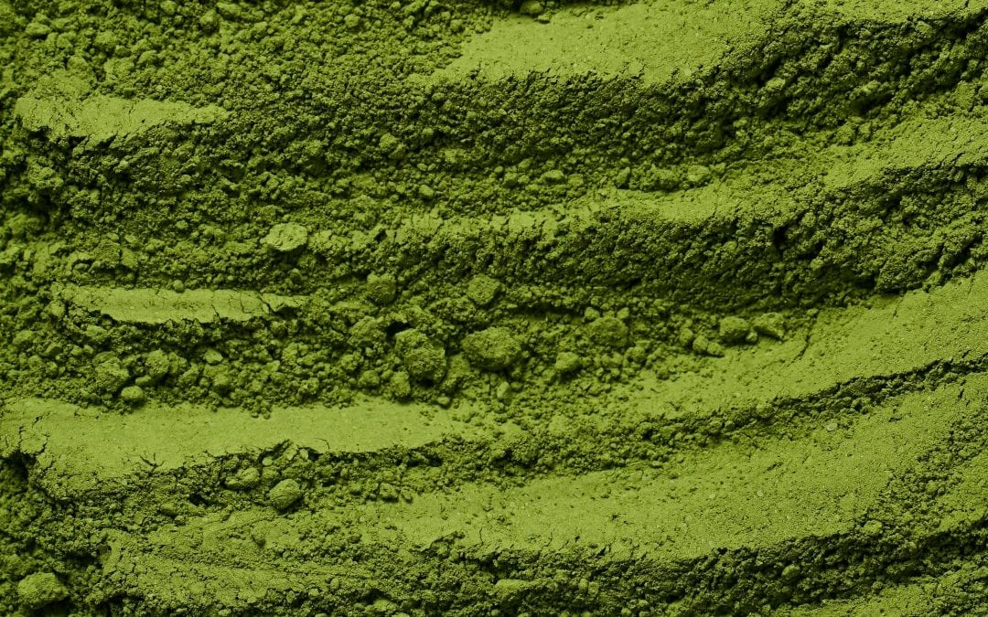 Zielona herbata w proszku - Matcha