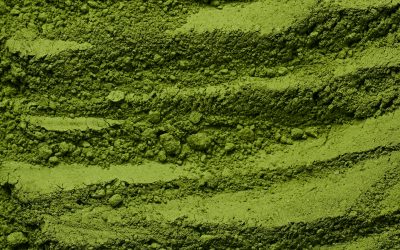 Twoja codzienna matcha – praktyczne warsztaty z herbatą w roli głównej