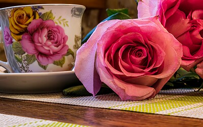 Herbaty Miłosne Esencji